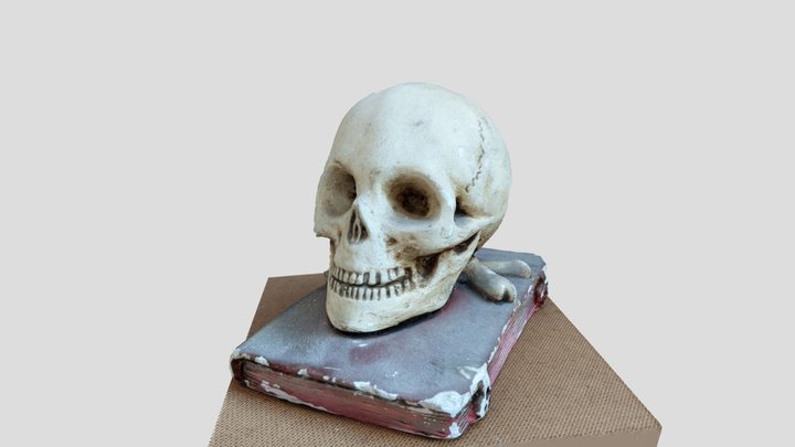 Skull on book 3D Model