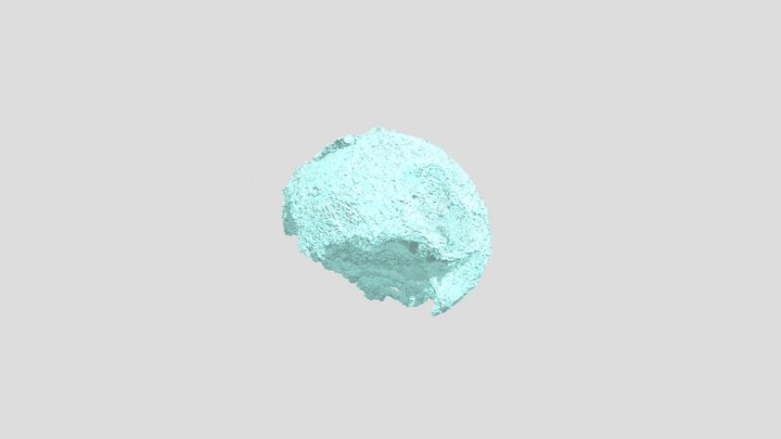 Mongolian embryo-like fossil 3D Model