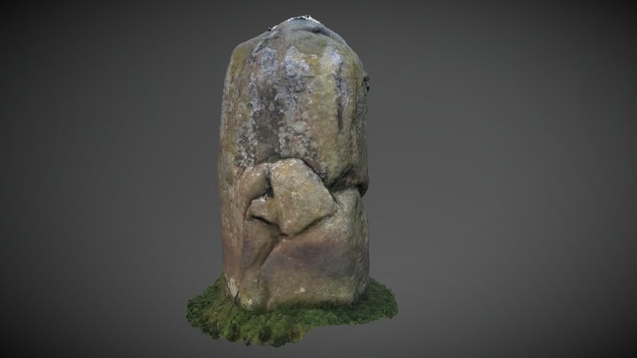 Dunruchan D - Standing Stone 3D Model