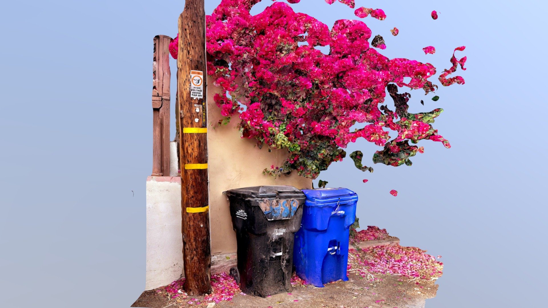 Bougainvillea [Day 26]