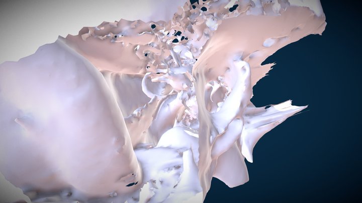 Trial_Pt_NoPtx 3D Model