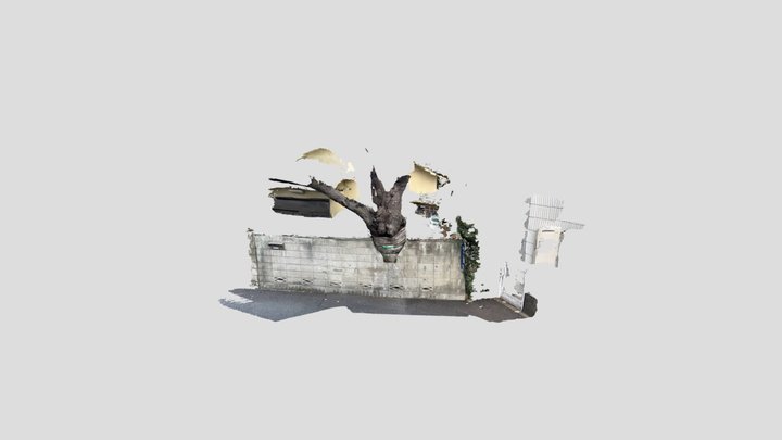 品川区保存樹 3D Model