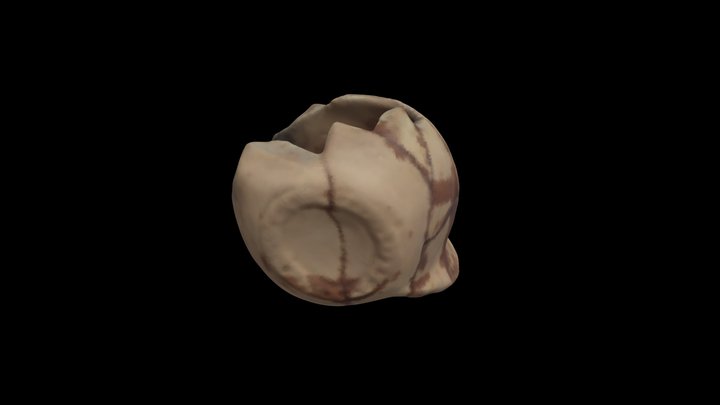 Lucerna romana (Morón de la Fr) 3D Model