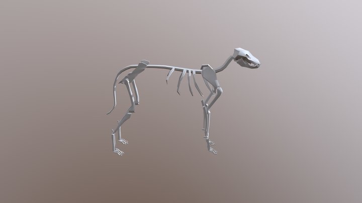 Low-Poly Dog Skeleton 3D Model