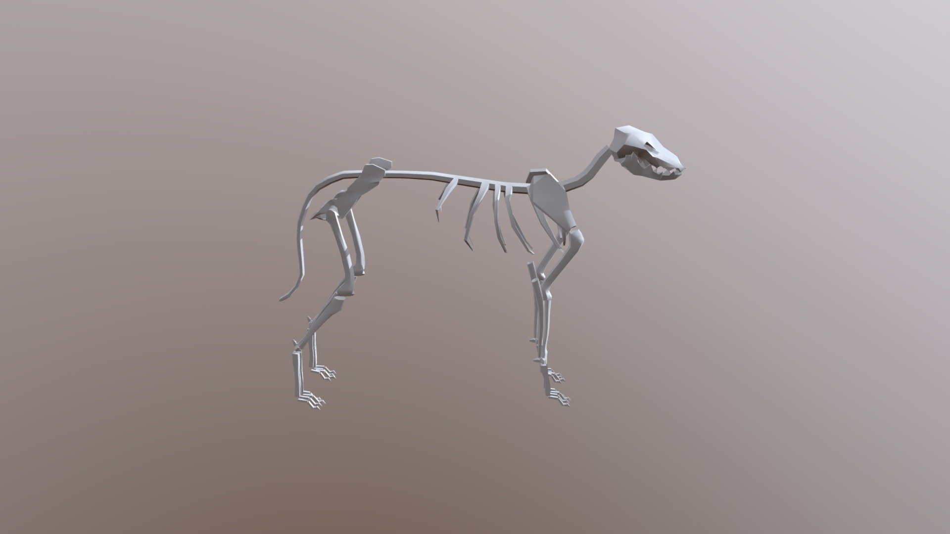 Low-Poly Dog Skeleton