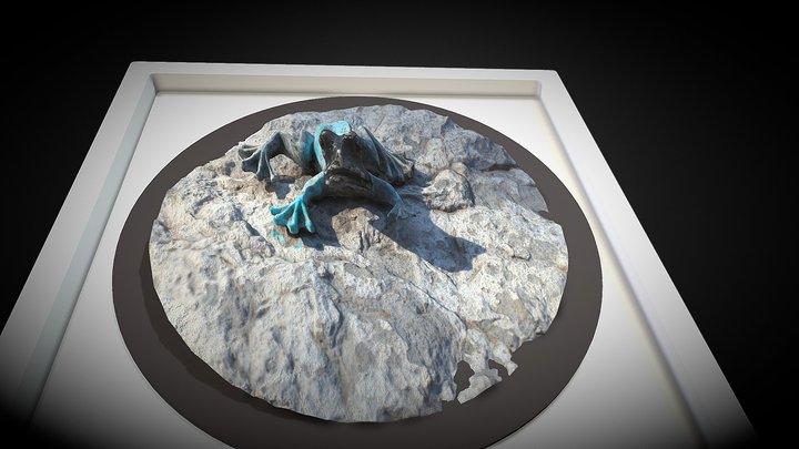 Ranas 3D models - Sketchfab
