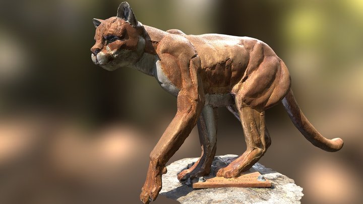 Mountain Lion 3D Model