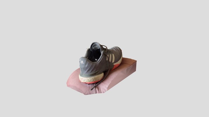 Tennis Shoe Scan high ress 3D Model
