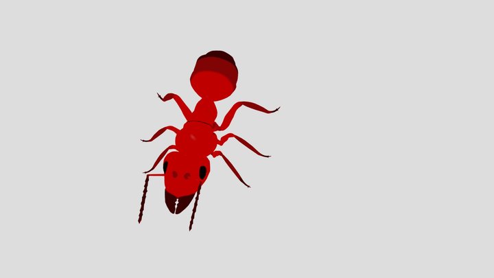 ant 3D Model