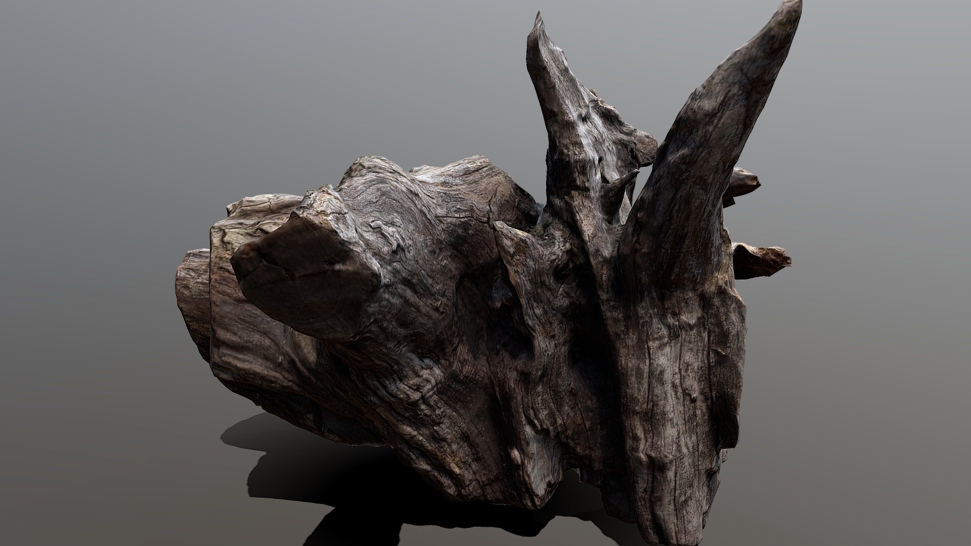 Stump_01