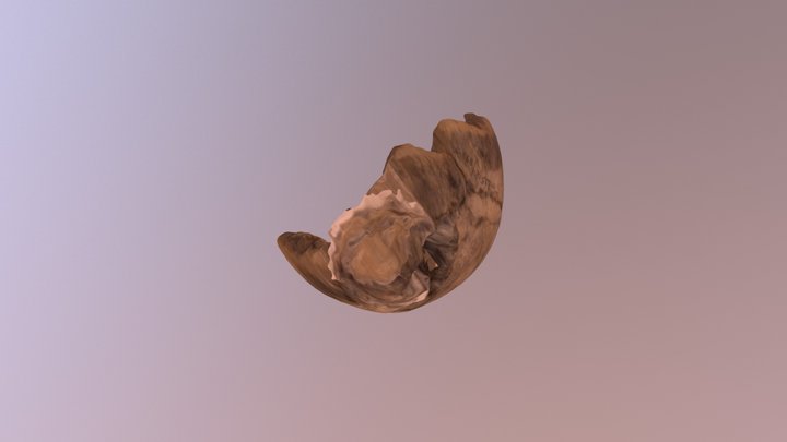 Hermitage's artifact 3D Model