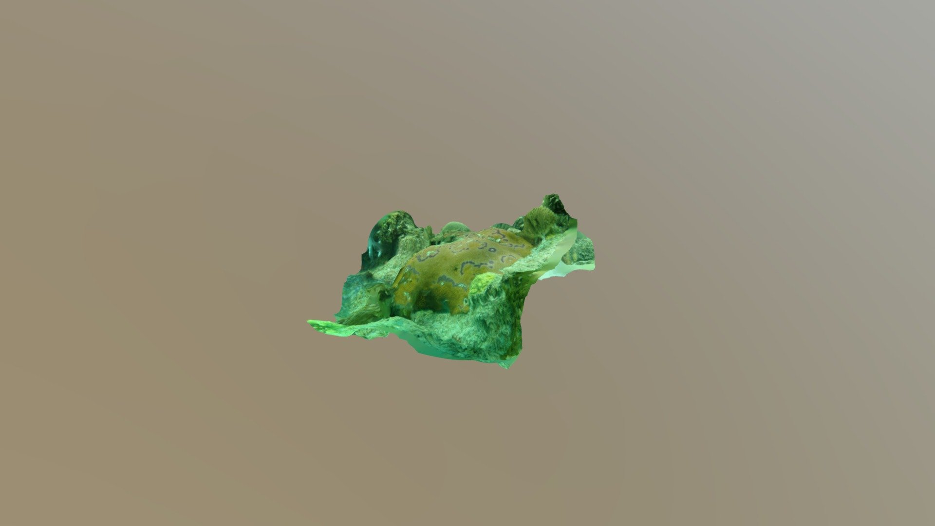 BlueHole090818Section2DiseaseModel
