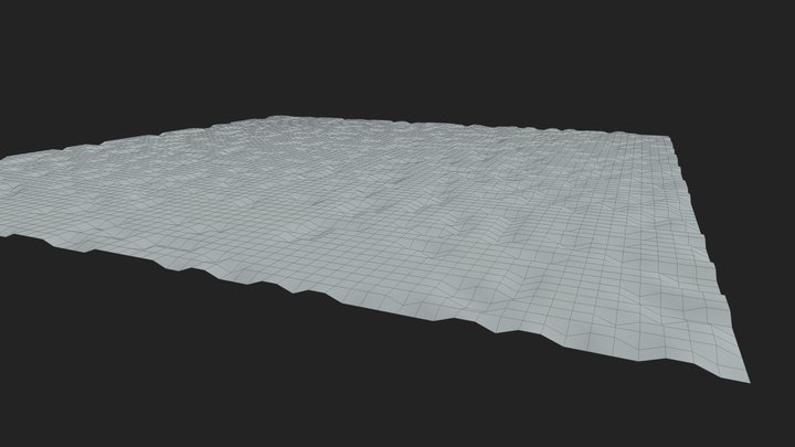 Foam Texture Plane 3D Model