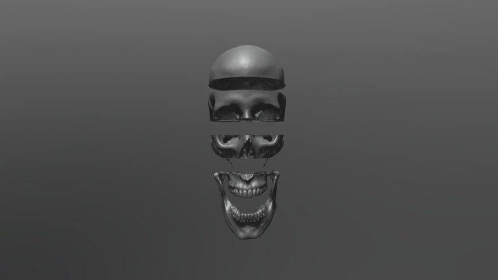 Skull HD, 5 parts, for 3D printing 3D Model