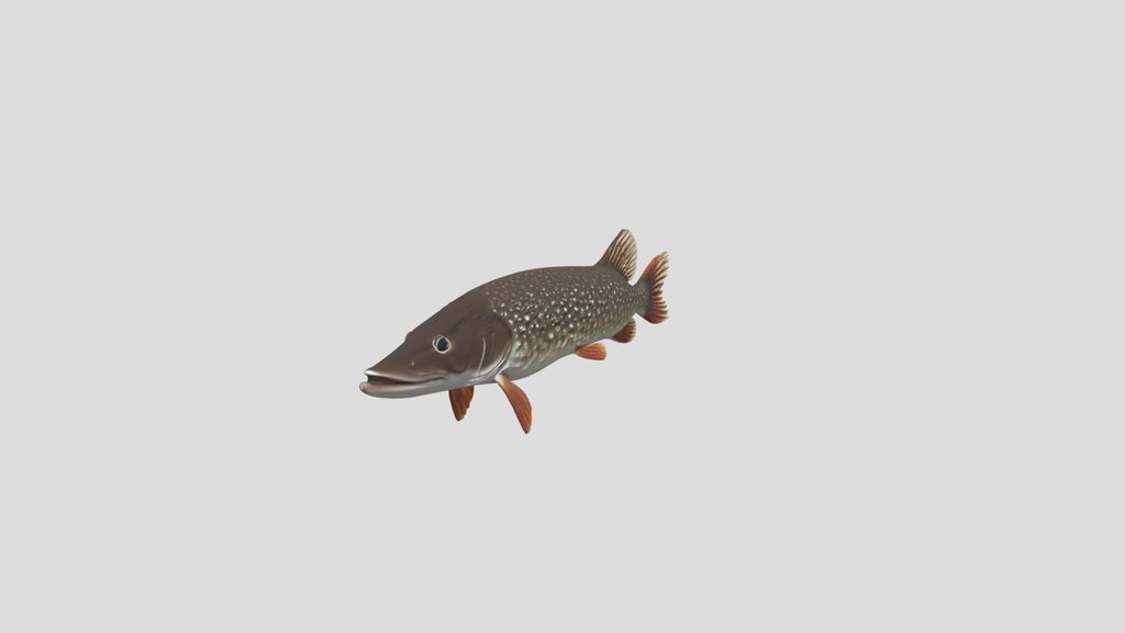Northern Pike Cartoon Style