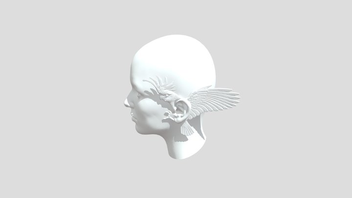 Parrot And Head 3D Model