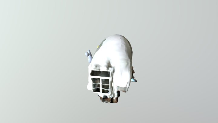 fgv 3D Model