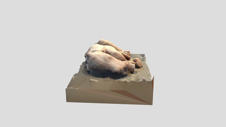 Neushoorntje 3D Model