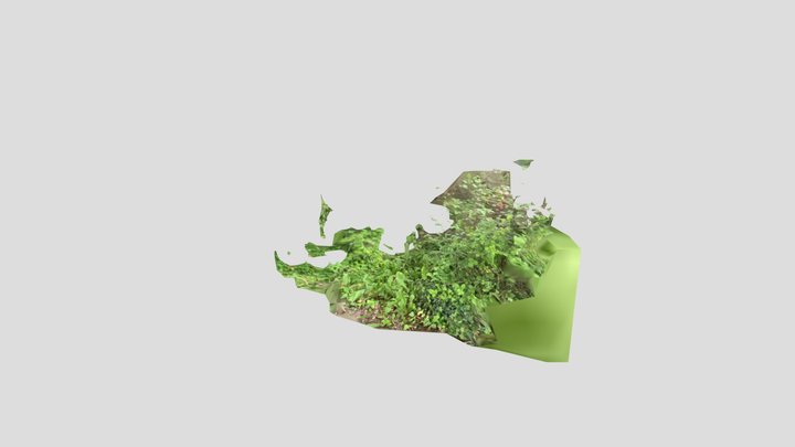 Scan test 2 3D Model