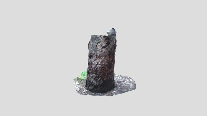 tree 3D Model