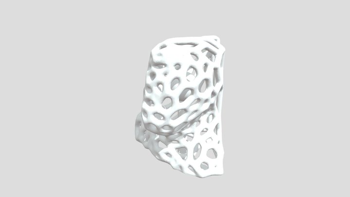 Voronoi Me Plate 3D Model