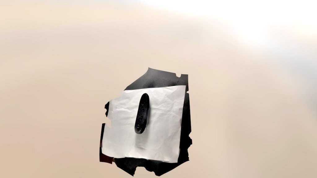 Gun butt plate scan