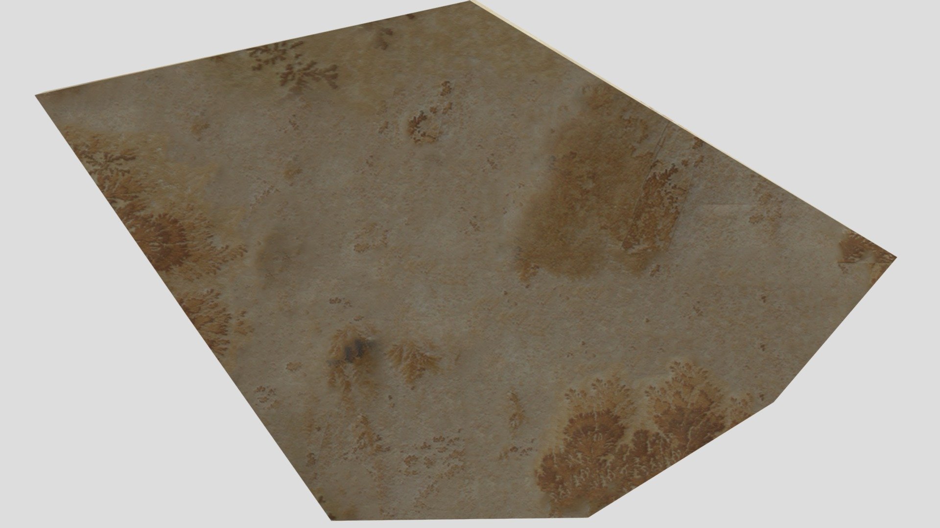 Manganese Dendrite Fossil