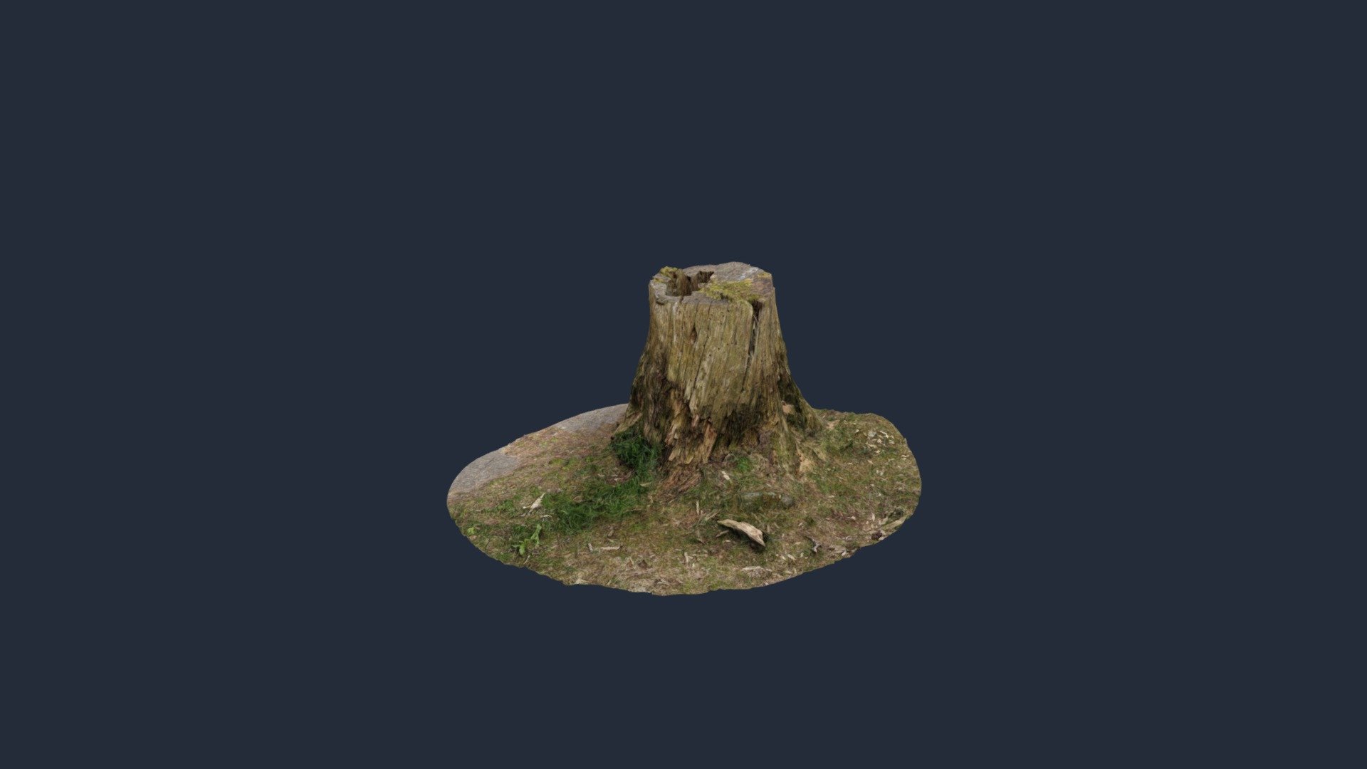 Old tree stump - Download Free 3D model by 3DLandskap.no (@3dlandskap ...