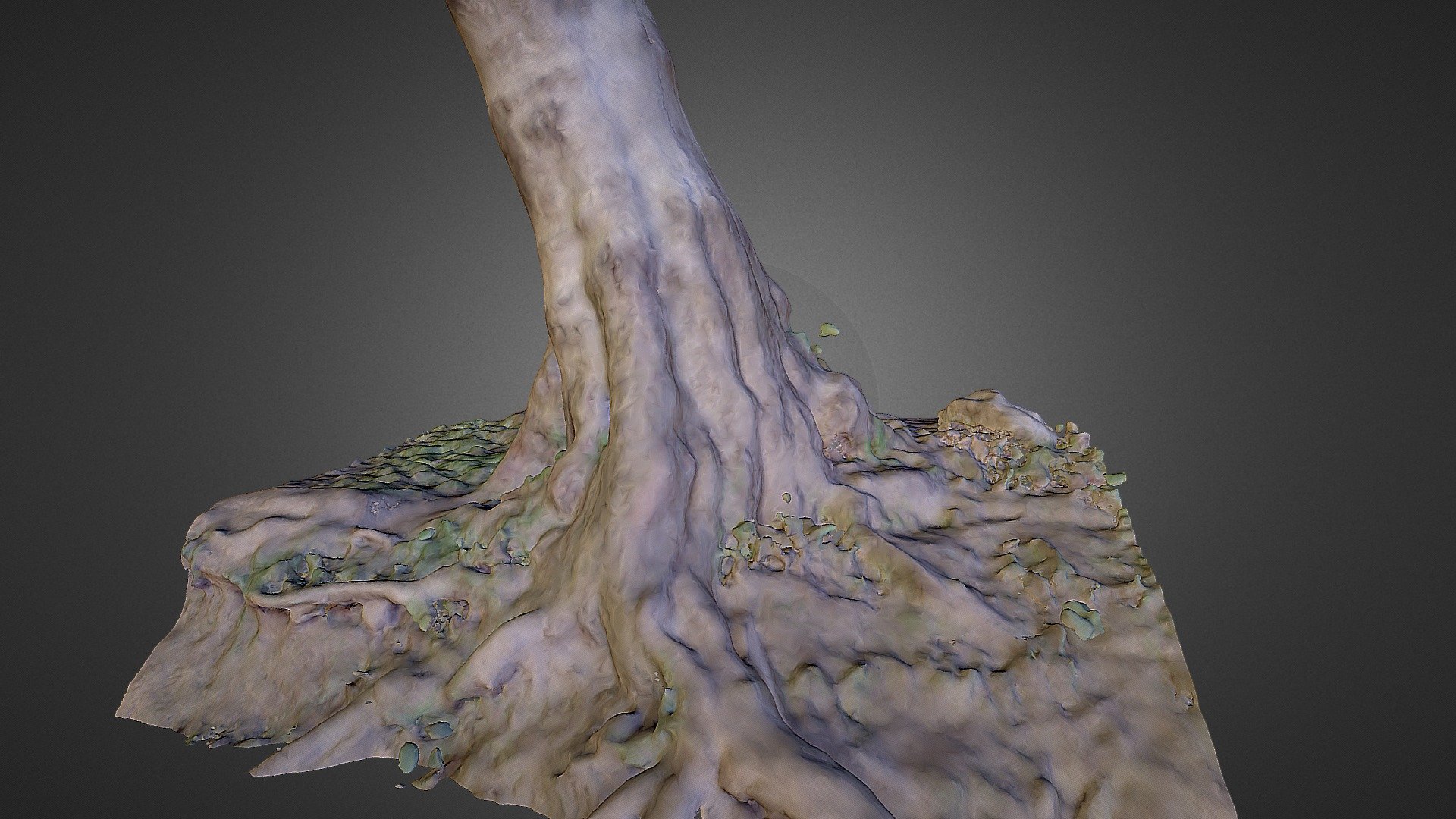 trunk - 3D model by tutor3d [842f301] - Sketchfab