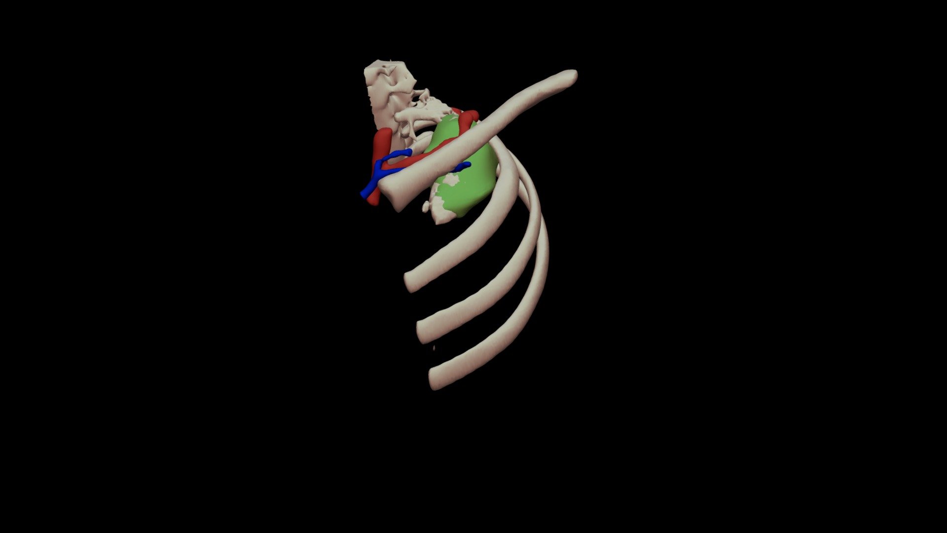 Tumor És Környezet