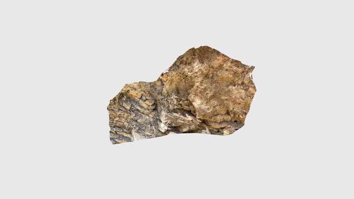 Mountain Scan Kufri 3D Model