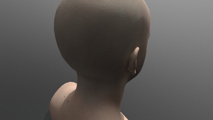 George Head 3D Model