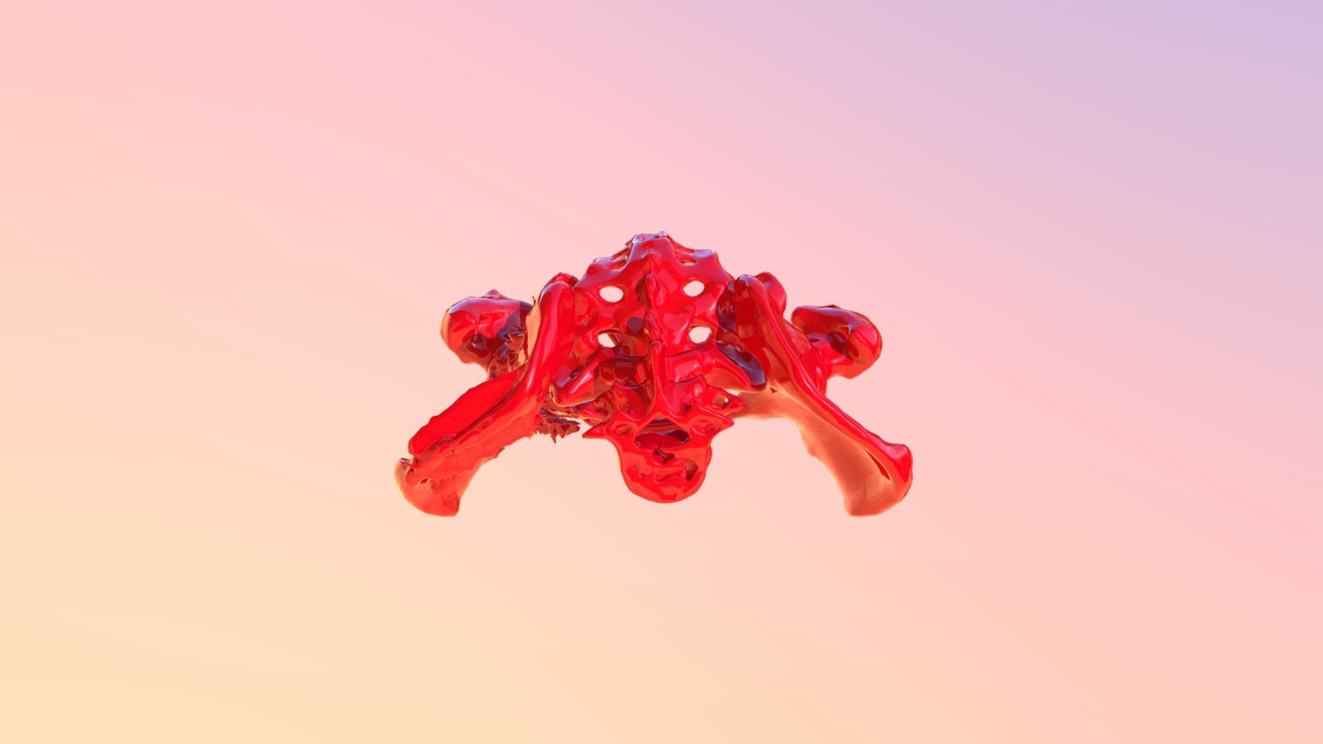 BONE11