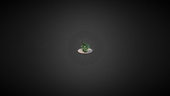 Wooden Plate + Vase With Plants 3D Model