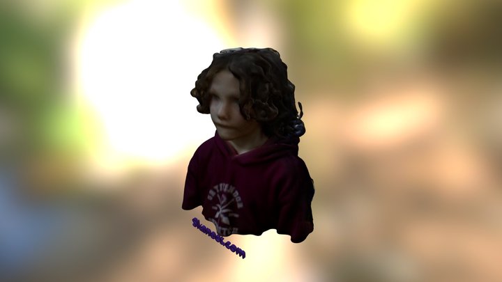 LetsBuildRobots - Nyle Head 3D Model
