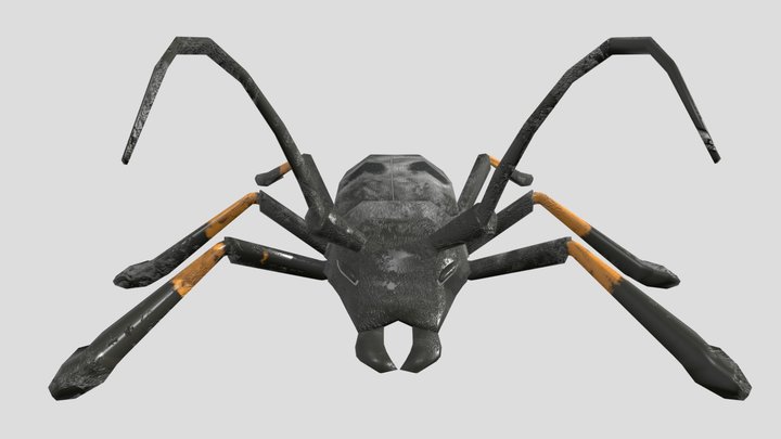 Morimus Funereus - little beetle 3D Model