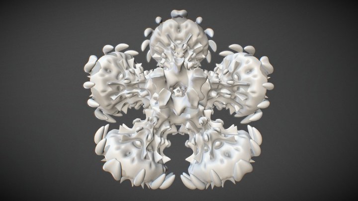 Radial 3D Model