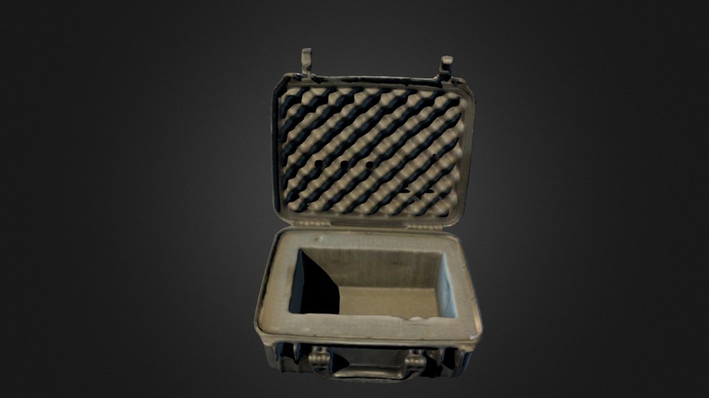 Padded Case
