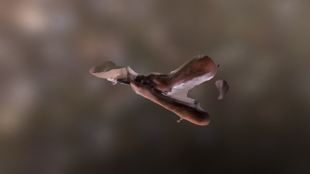 A TRNIO Model