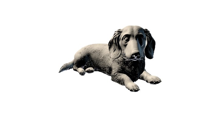 Dachshund