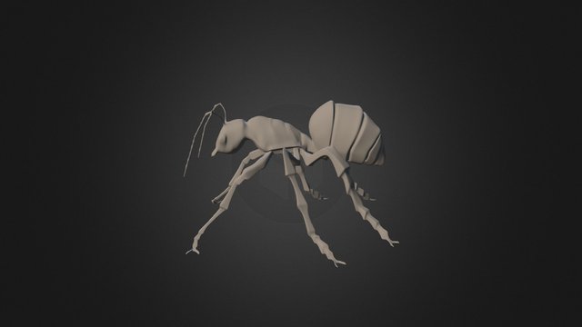 Ant WIP 3D Model