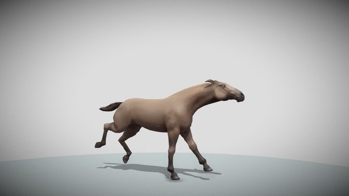 Horse Run Cycle On Place 3D Model