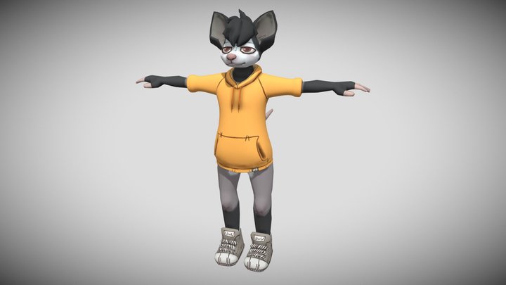 Male Furry Possum 3D Model