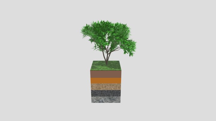 Soil Profile 3D Model
