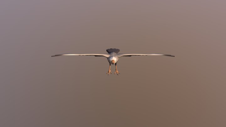 Bird Low Normal 3D Model