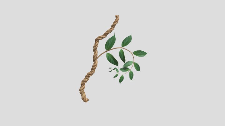 Banisteriopsis caapi - Ayahuasca Vine 3D Model