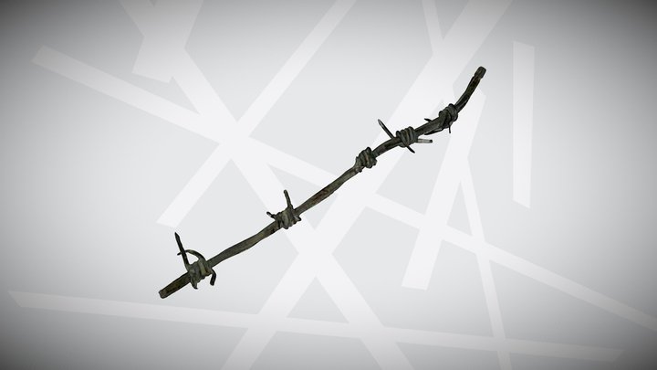 Barbed Wire 3D Model