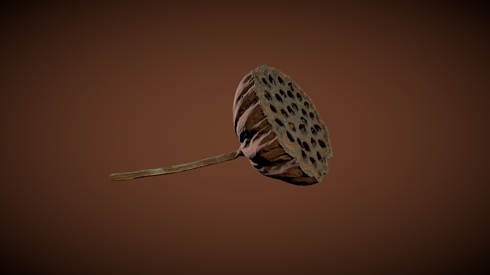 3D model Lotus seed pod - This is a 3D model of the Lotus seed pod. The 3D model is about a black and white spotted butterfly.