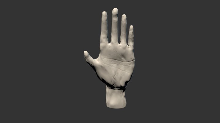 Old man hand 3D Model