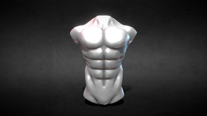 Chest Study 3D Model